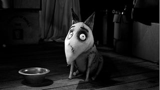 ‘Frankenweenie’ Review: Tim Burton Returns to Form With a (Very) Young Frankenstein
